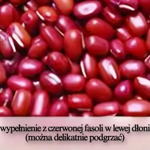 Tuliś